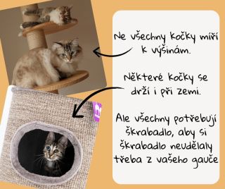 Oblíbeným domácím mazlíčkem jsou zaručeně kočky. 🐱 Některé rády šplhají až do korun stromů, některé se raději ukrývají v...